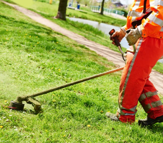 spotlight garden services, garden services, gardening services, hermanus, gardener