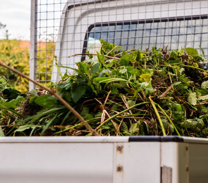 spotlight garden services, garden services, gardening services, hermanus, gardener